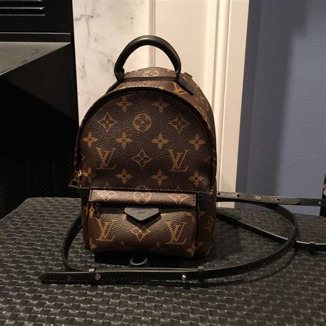 palm spring louis vuitton backpack|Louis Vuitton palm springs mini.